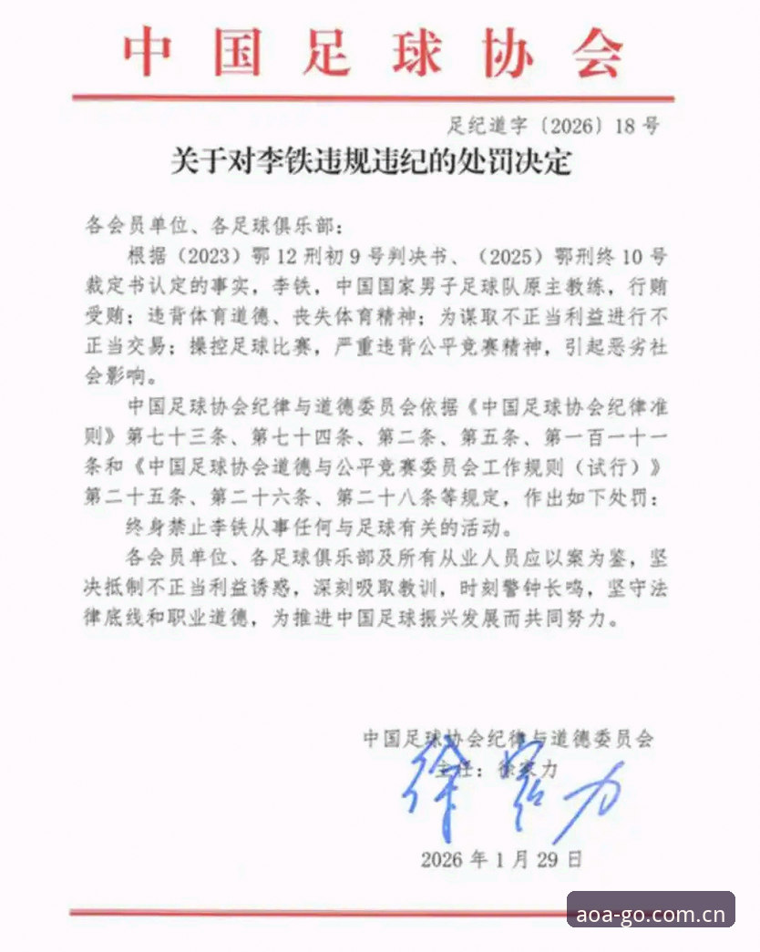AOA体育入口 足协第三批禁足名单深度核验:AOA体育入口数据筛选与处罚分级完整指南